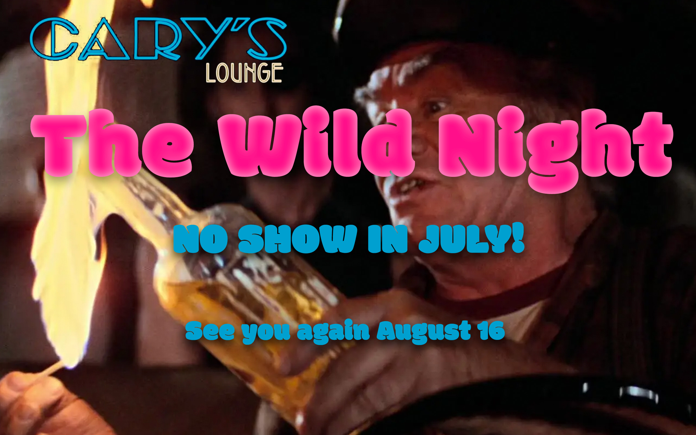 The Wild Night poster