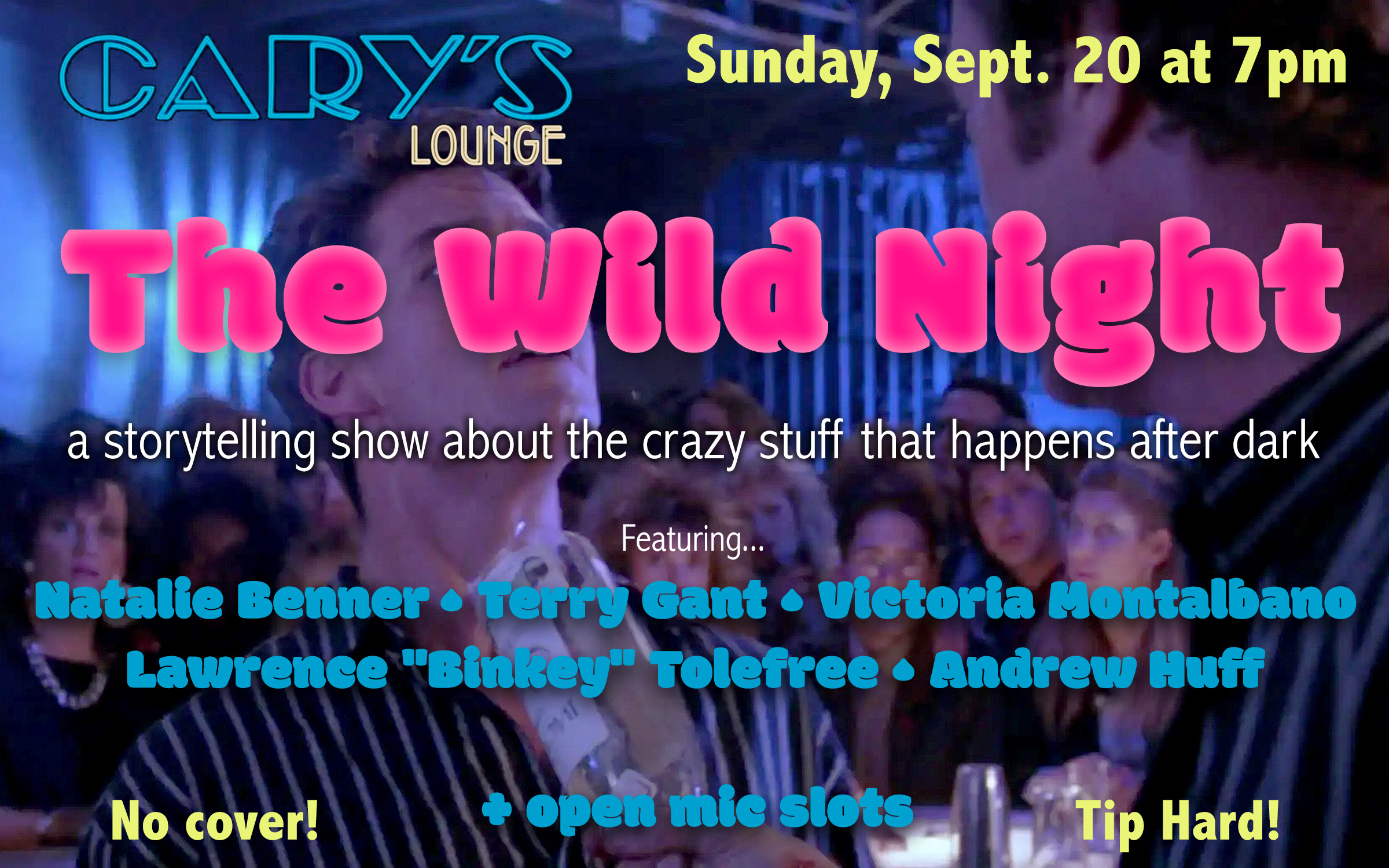 The Wild Night poster